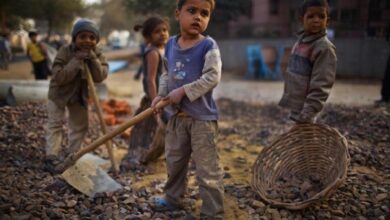 Photo of बाल श्रमिकों की पढ़ाई के साथ उनकी आय का भी प्रबंध कर रही योगी सरकार