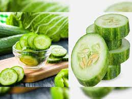 Photo of Cucumber Benefits: वजन से लेकर कोलेस्ट्रॉल और ब्लड शुगर मैनेज करने तक, खीरे में हैं कई अद्भुत गुण