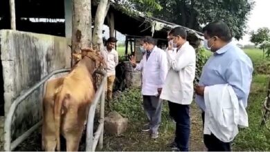 Photo of गोसेवकों को मुख्यमंत्री का उपहार, अब मिलेंगे ₹50 प्रति गोवंश