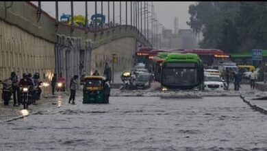 Photo of गुजरात की 248 तहसीलों में बारिश, नर्मदा के तटवर्ती इलाकों में बाढ़ के हालात