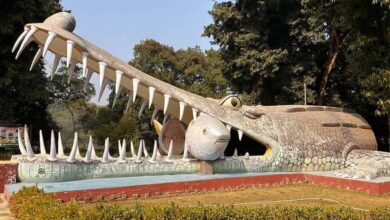 Photo of कुकरैल नाइट सफारी का निर्माण कार्य अप्रैल से शुरू