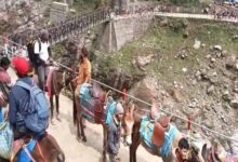 Photo of चारधाम यात्रा : घोड़े-खच्चरों में मिला वायरस