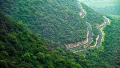 Photo of कोडाइकनाल :  खूबसूरत पर्वतीय स्थल