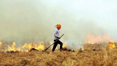 Photo of पराली जलाने वाले लोगों के खिलाफ सख्त कार्रवाई