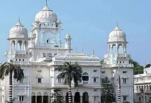 Photo of केजीएमसी में कुलपति आवास से चंदन का पेड़ चोरी 