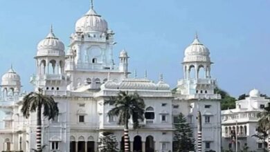 Photo of केजीएमसी में कुलपति आवास से चंदन का पेड़ चोरी 
