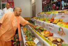 Photo of लखनऊ में 4 से 6 जुलाई तक आम महोत्सव 2025