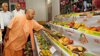 Photo of लखनऊ में 4 से 6 जुलाई तक आम महोत्सव 2025