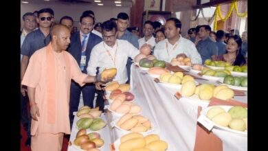 Photo of सीएम योगी ने उत्तर प्रदेश आम महोत्सव 2025 का शुभारंभ किया 