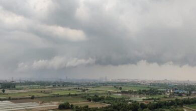 Photo of उत्तर प्रदेश में मॉनसून सक्रिय