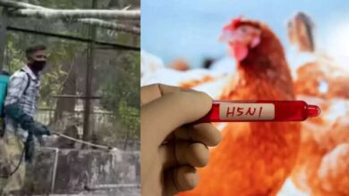 Photo of यूपी में बर्ड फ्लू को लेकर जारी हुआ अलर्ट