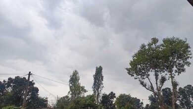 Photo of उत्तर प्रदेश में मौसम का मिजाज हर दिन बदल रहा