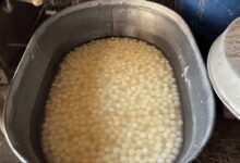 Photo of नोएडा में खाद्य सुरक्षा विभाग ने  सैकड़ों किलो मिठाई कराई नष्‍ट