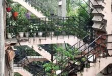 Photo of गाजियाबाद : अपार्टमेंट की सीढ़ी गिरने से निवासियों में दहशत